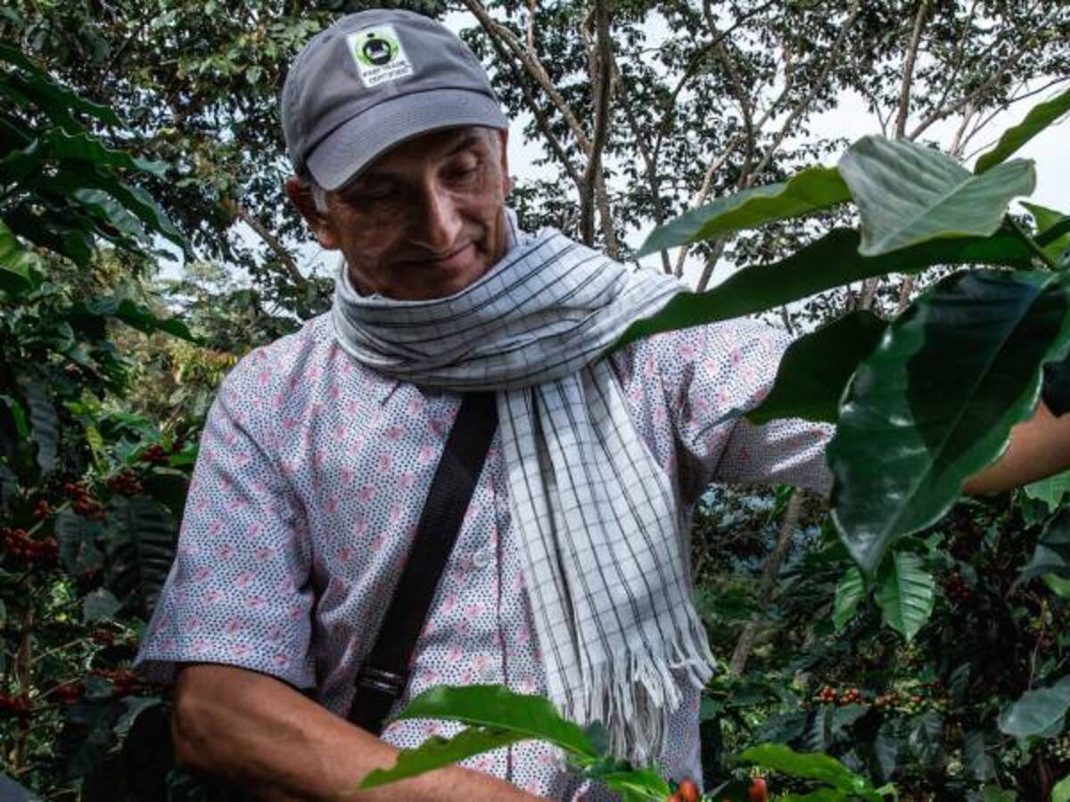 En un 80% están paralizadas las exportaciones de café por paro camionero