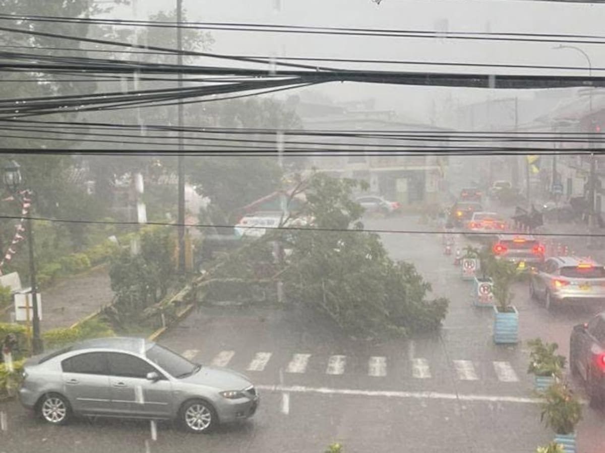Los vendavales son la principal emergencia que se ha presentado en lo que va de junio en el Quindío
