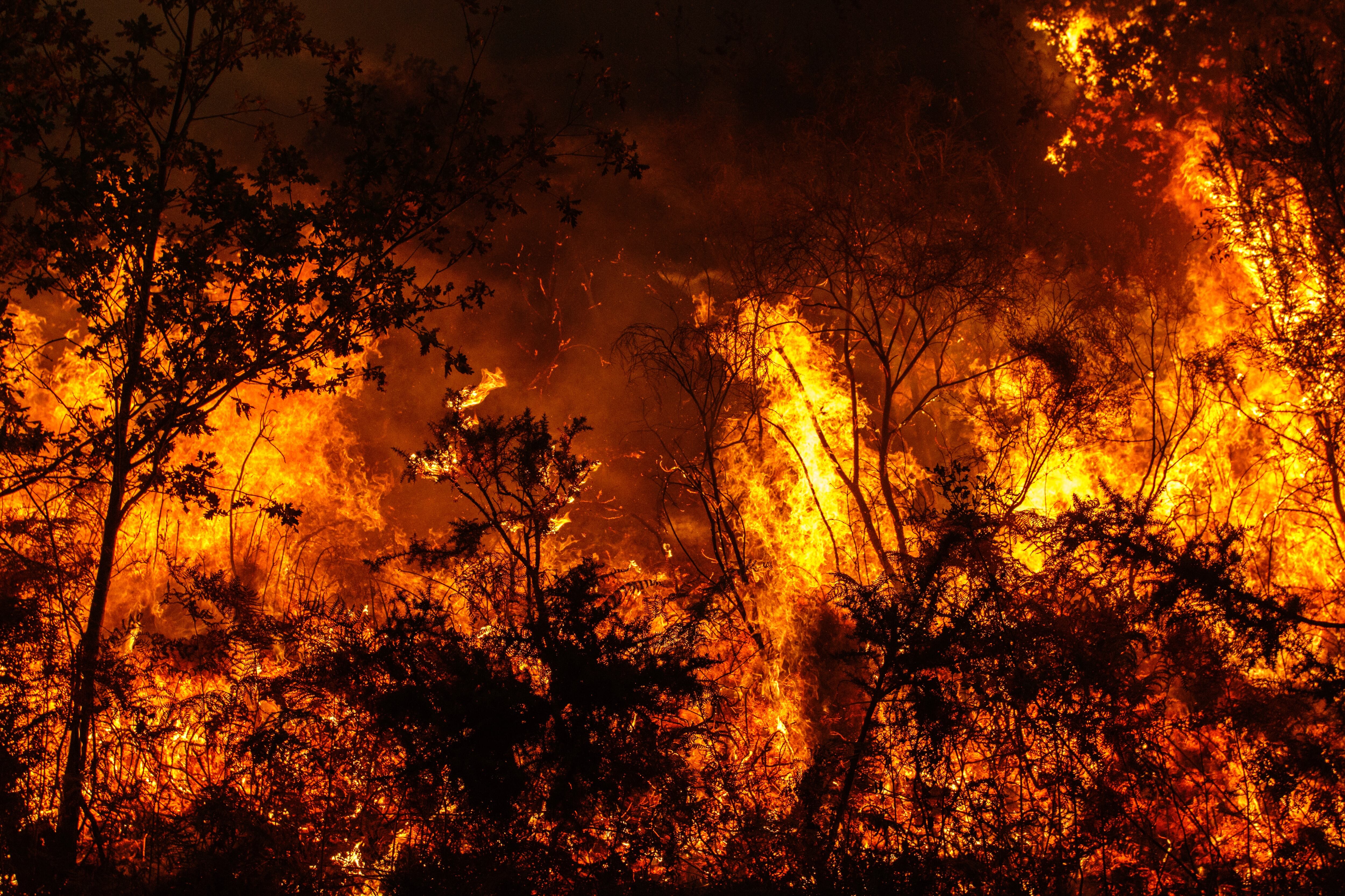 Incendios forestales/Gettyimagenes
