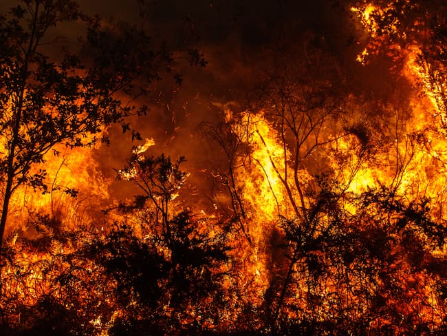 Incendios forestales/Gettyimagenes