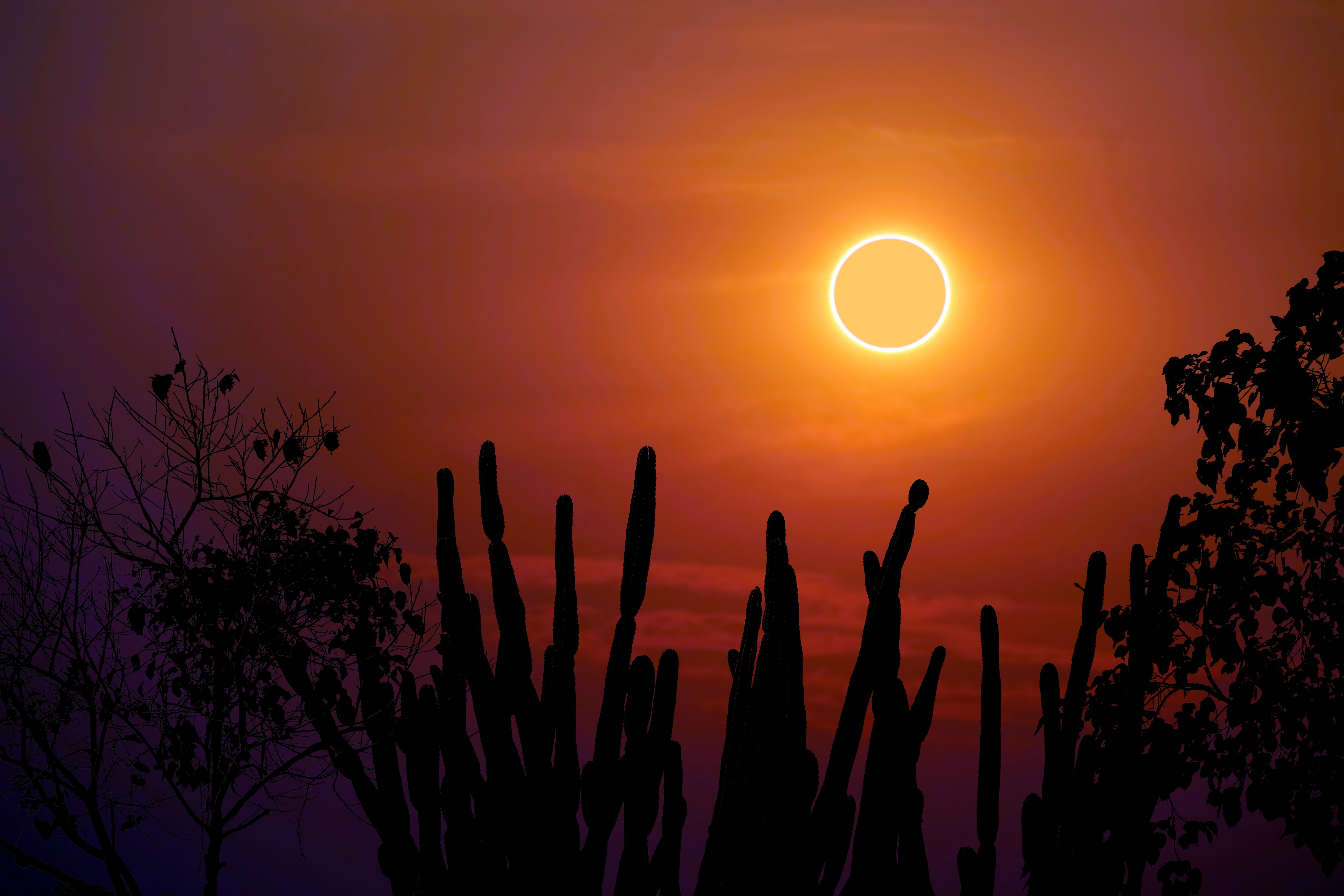 Eclipse solar anular 14 de octubre 2023. Imagen vía Getty Images.