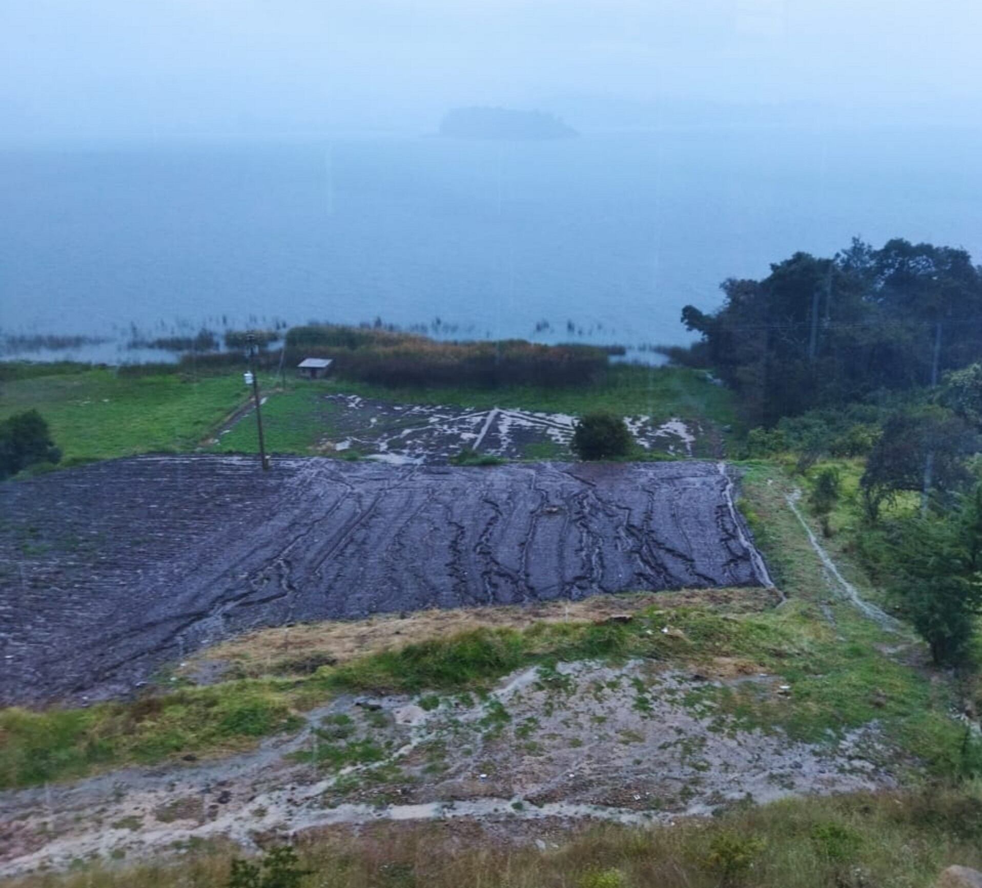 Las lluvias han afectado cultivos/ Caracol Radio.