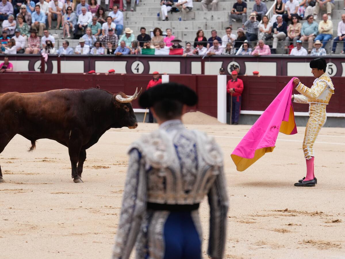 ¿Buscan impedir debate de proyecto que prohíbe las corridas de toros en Colombia?