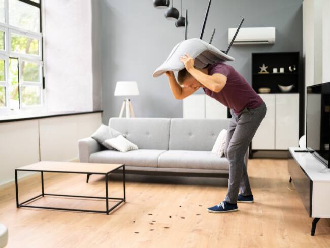 cucarachas invadiendo un hogar