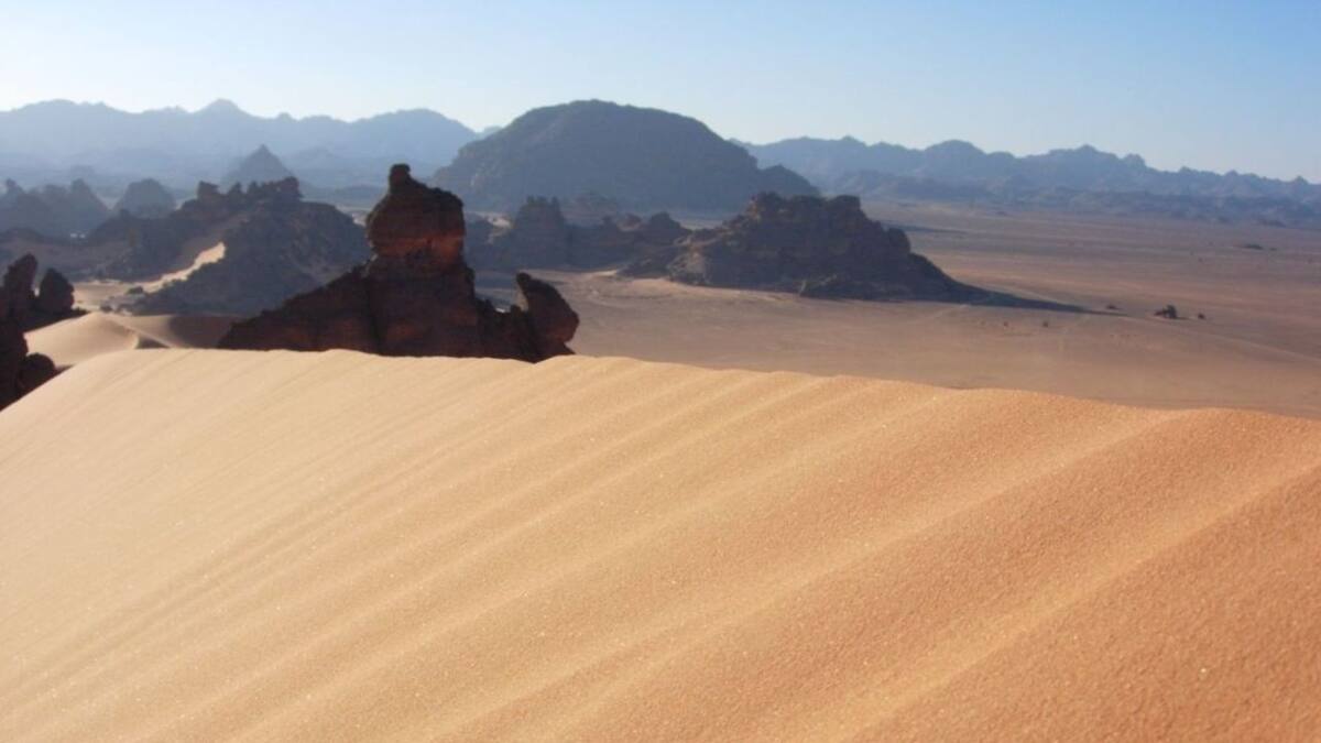 Algas del desierto arrojan luz sobre tolerancia a desecación en plantas