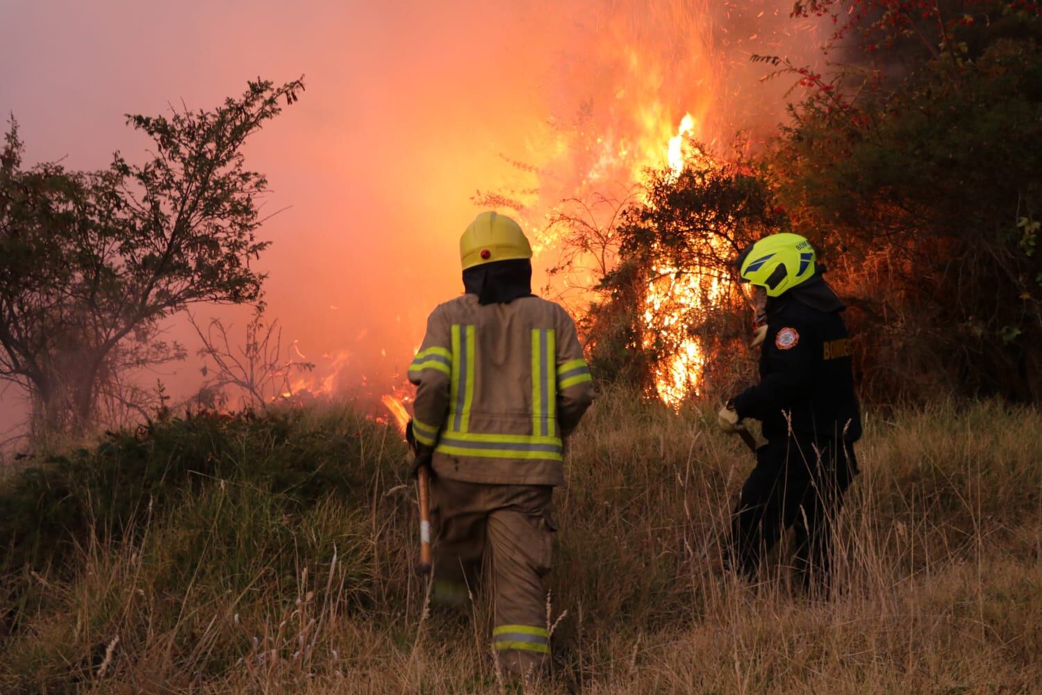 Incendios Pasto | Foto: Bomberos