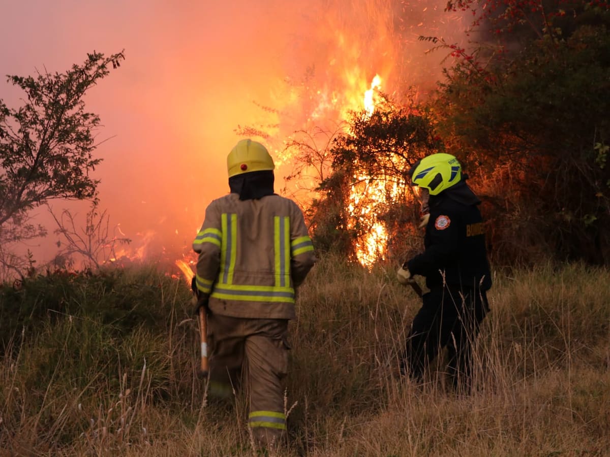 Siguen los incendios en Pasto: Cinco emergencias forestales en un día