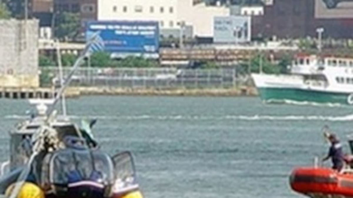 Accidente de helicóptero en Nueva York deja un muerto y cuatro heridos