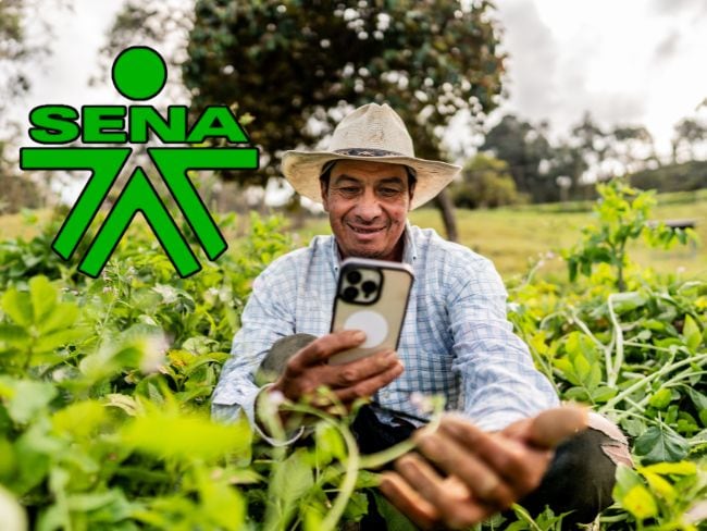 Ampliaron plazo para certificación con el SENA 2026: únicos beneficiarios y cómo solicitarlo