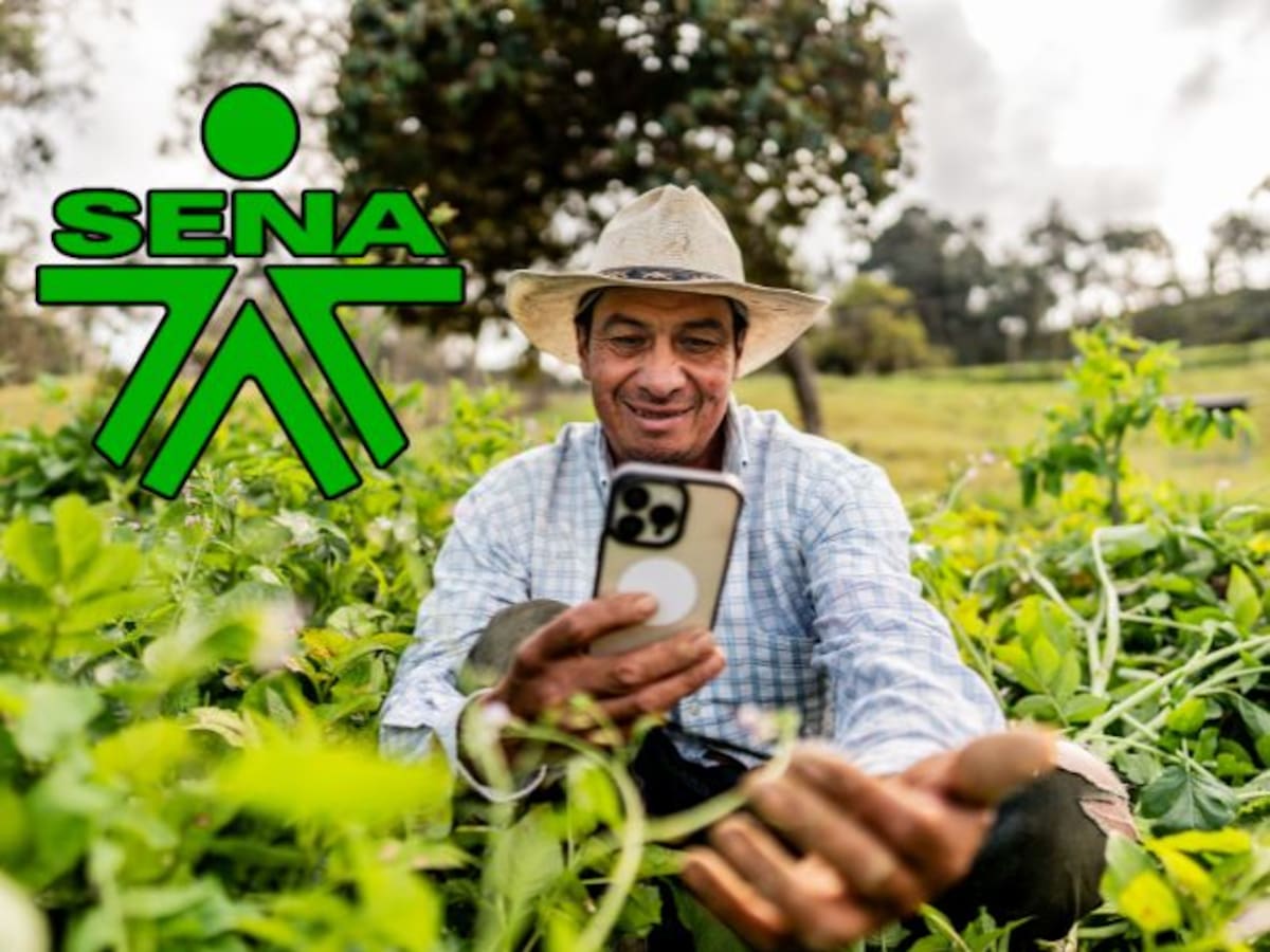 Ampliaron plazo para certificación con el SENA 2026: únicos beneficiarios y cómo solicitarlo