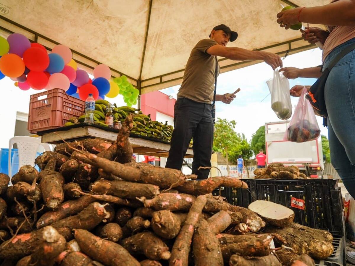 Realiza tus compras y ahorra en los mercados campesinos del PES- Pedro Romero