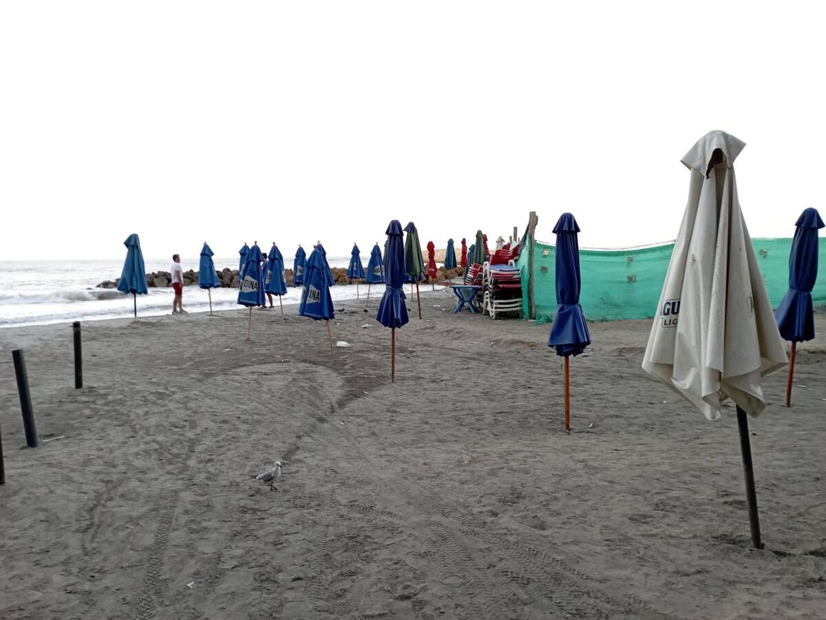 Carperos de Playa 5 adelantan nueva protesta por pago de compensaciones