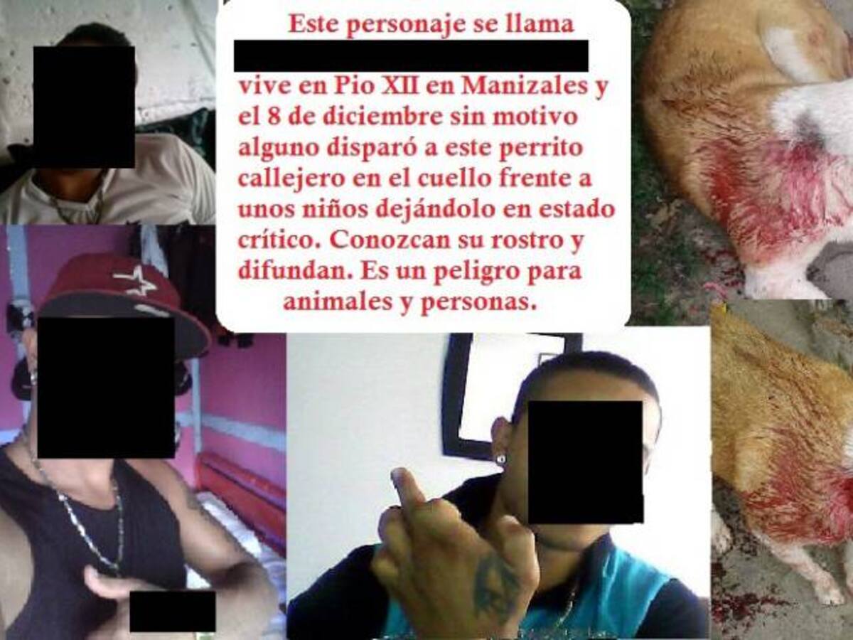 Joven le disparó a un perro que dormía en frente de su casa