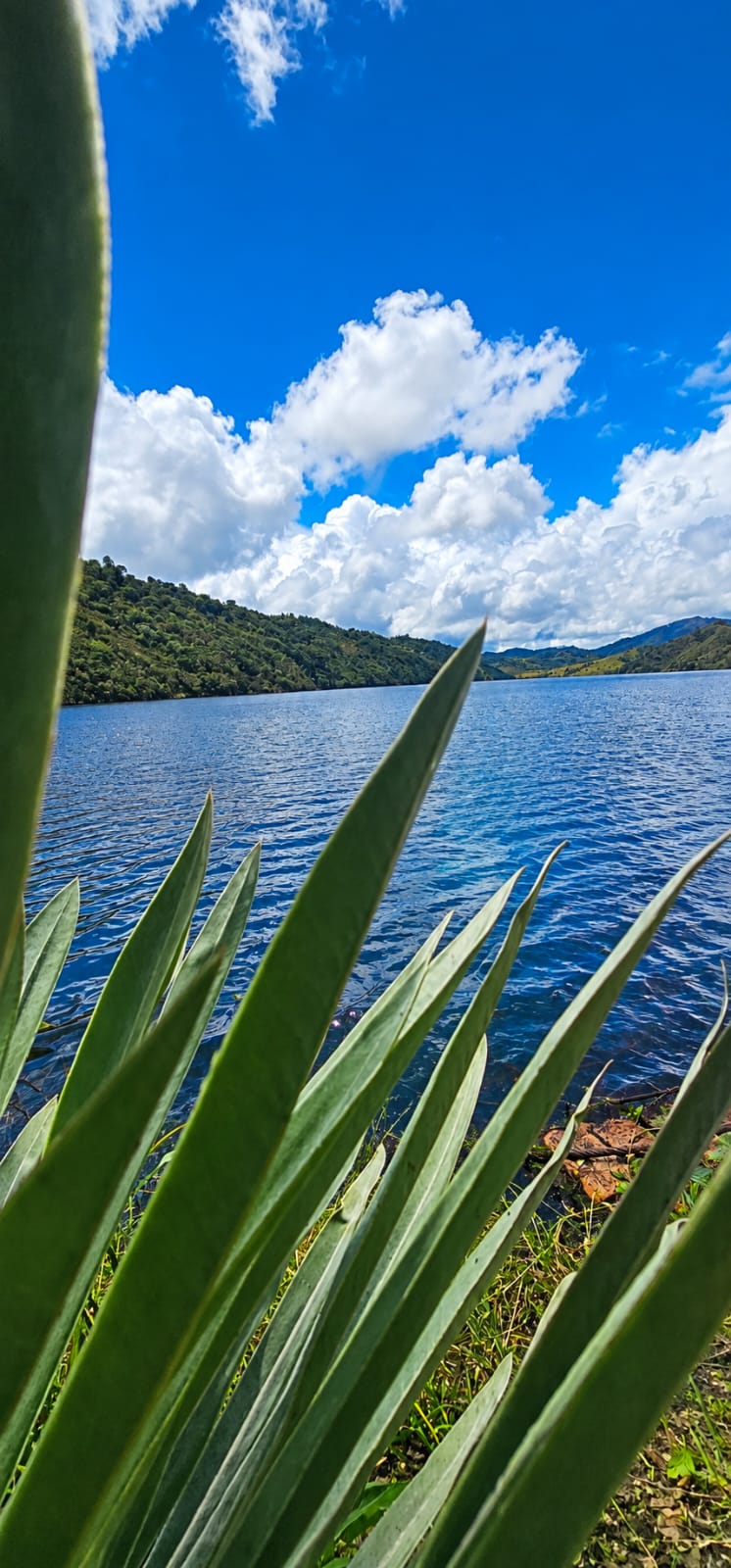 El estudio identificó 88 especies de flora, fauna y hongos, consolidando una línea base de la biodiversidad del ecosistema de alta montaña.