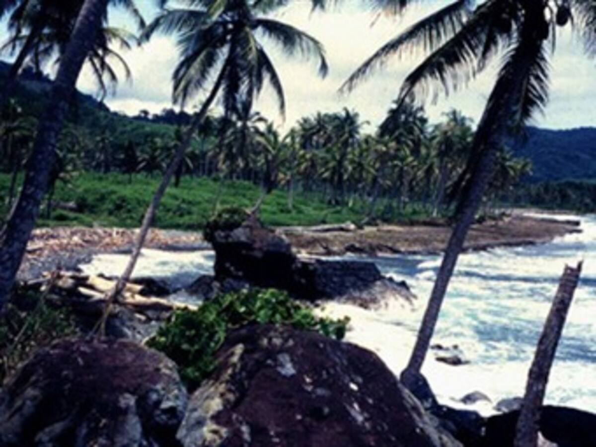 Armada Nacional adelanta búsqueda de más cuerpos de posible naufragio en el golfo de Urabá