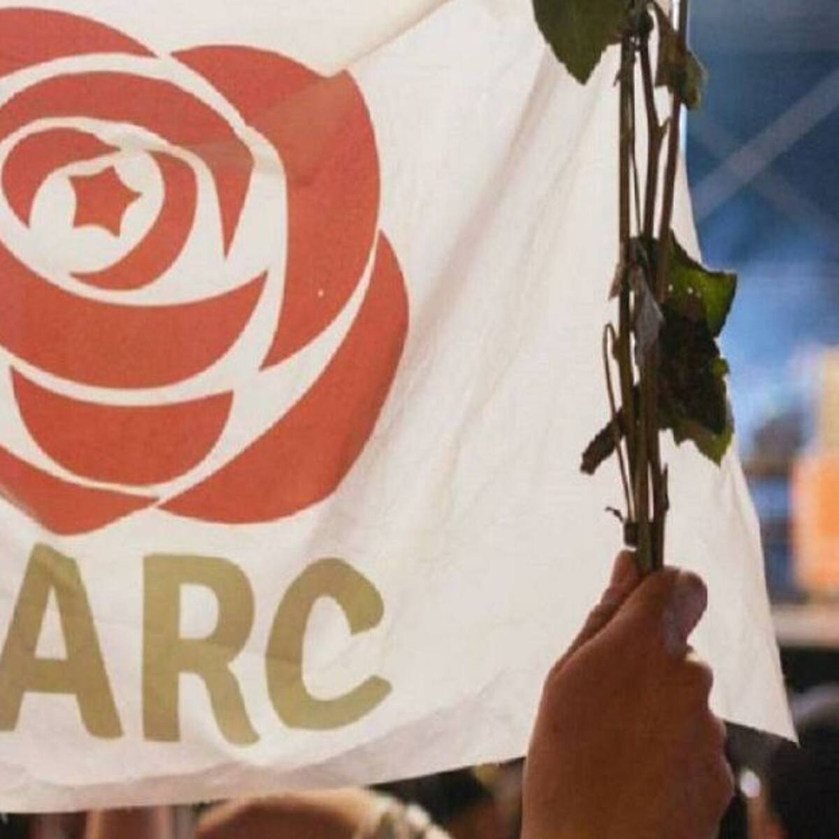 Proyectos agrícolas de reinsertados de las FARC en riesgo por el Covid-19