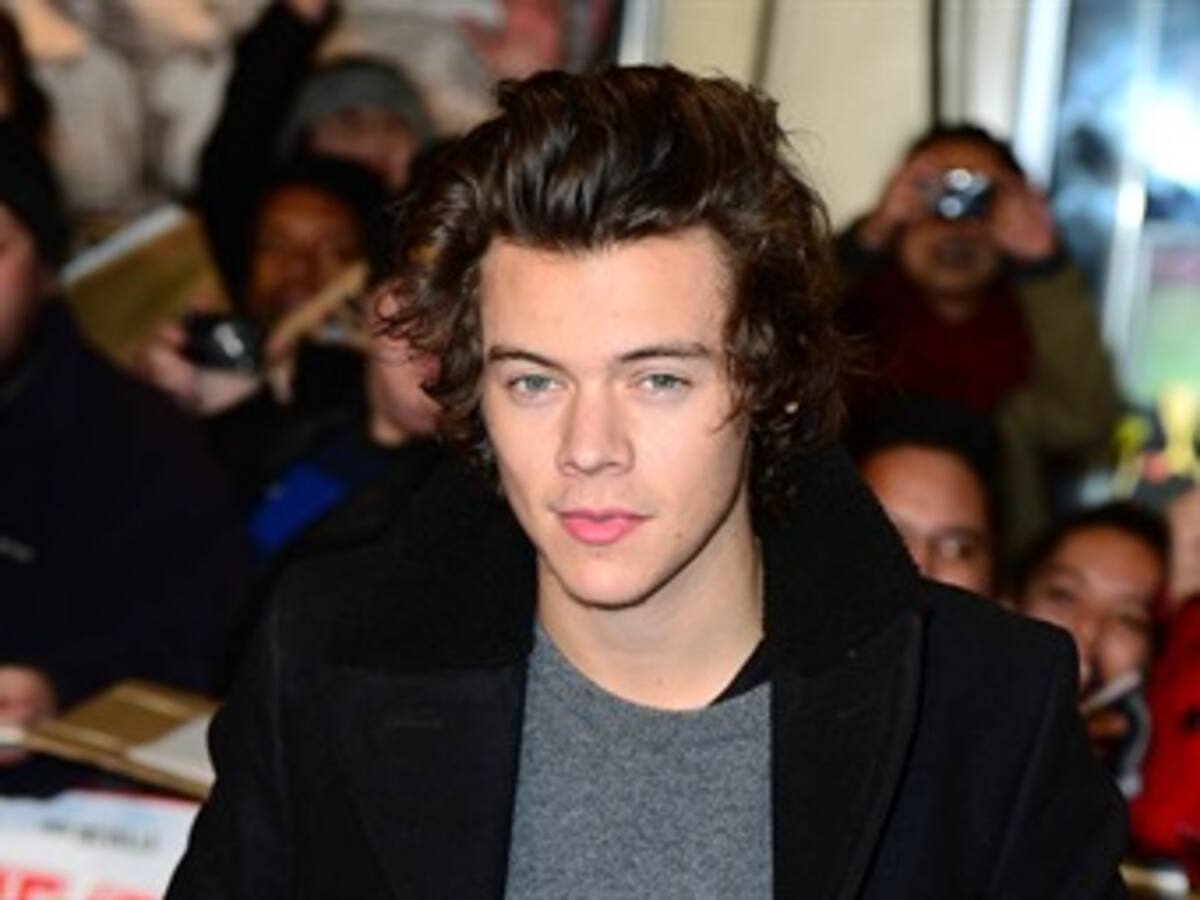 Harry Styles combate las espinillas con excremento de pájaro