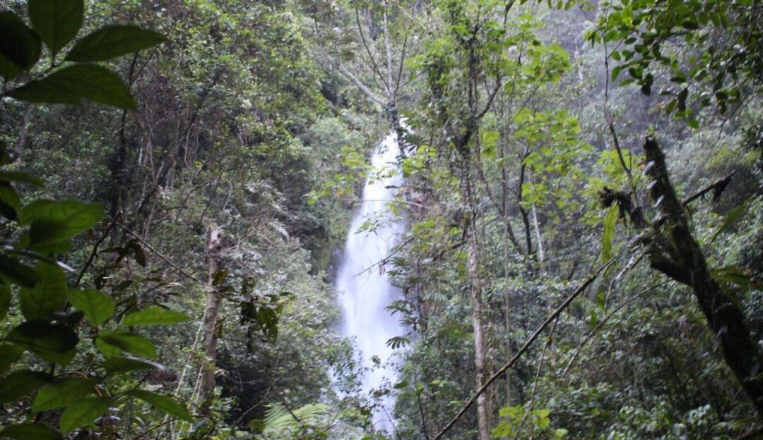 Avanza delimitación de páramo Pisba