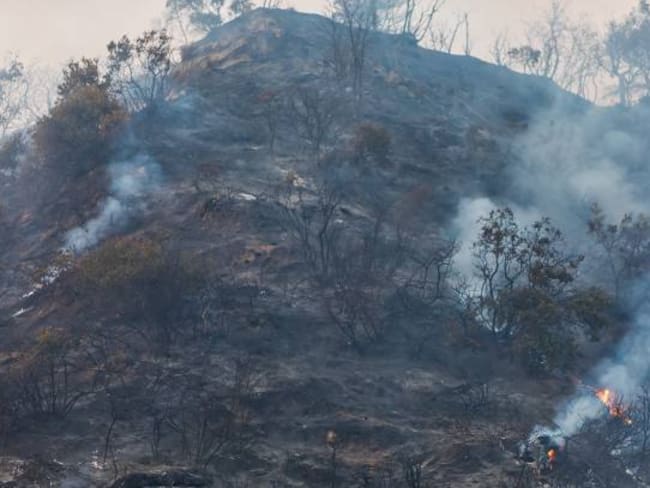 Incendio forestal entre Melgar y Carmen de Apicalá afecta 200 hectáreas