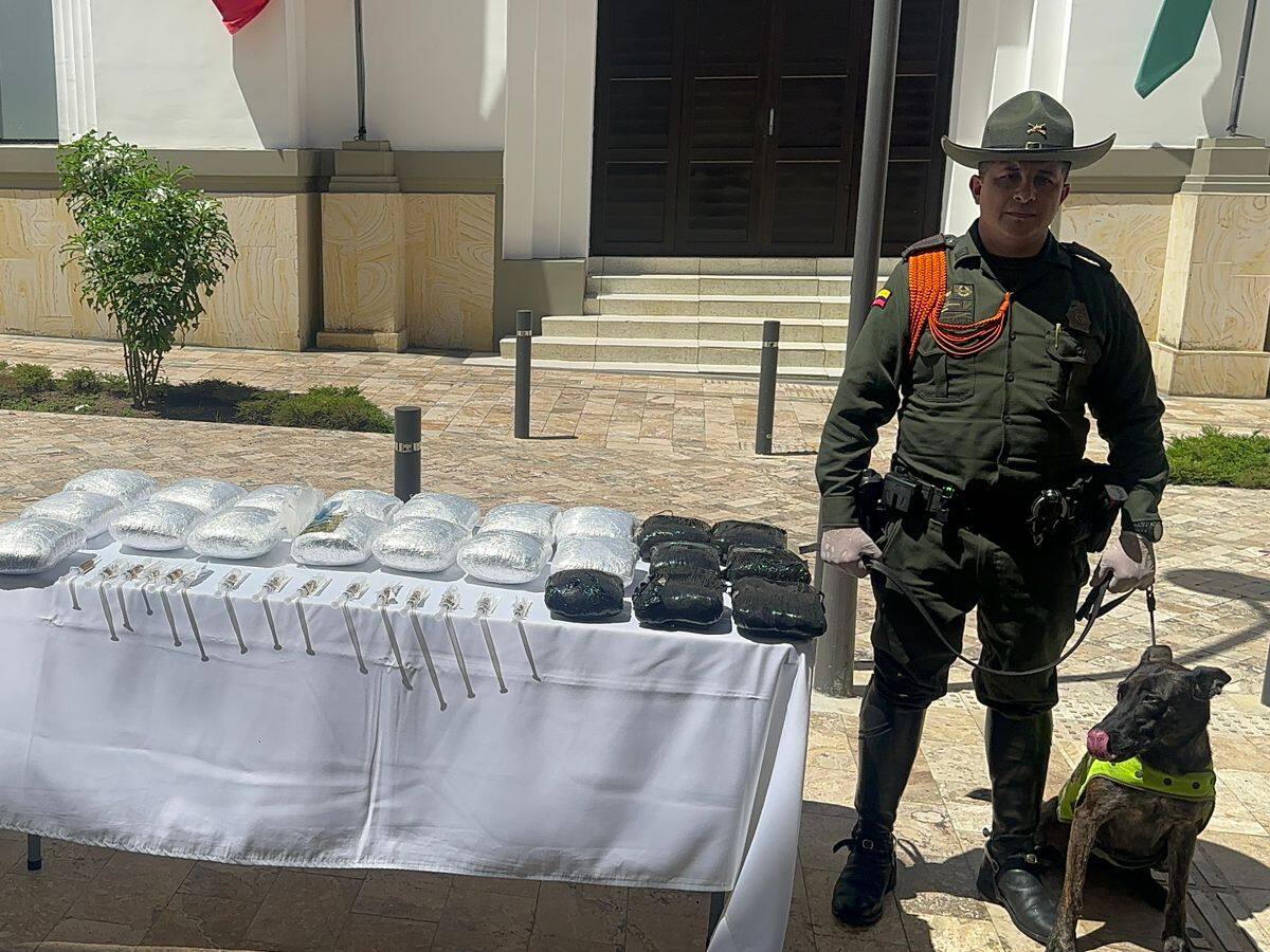 Gracias a dos caninos Policía descubrió una narco-encomienda
