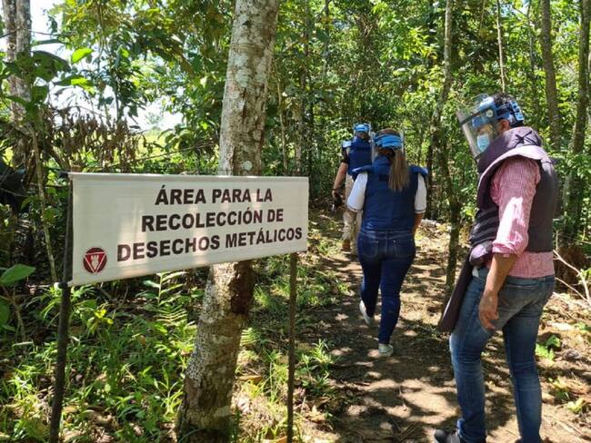 Caquetá tendrá dos municipios sin minas antipersonas. 