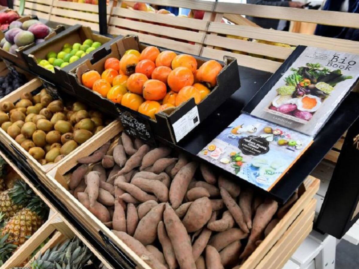 Sigue la abundante cosecha de papa