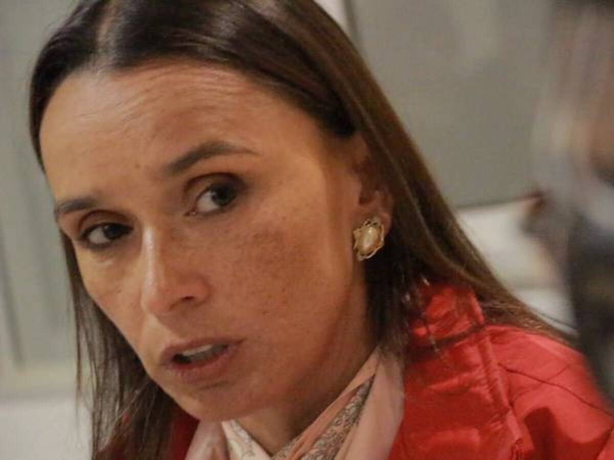 Hemos mandado un mensaje para beneficiar a las tecnologías limpias”: Araujo