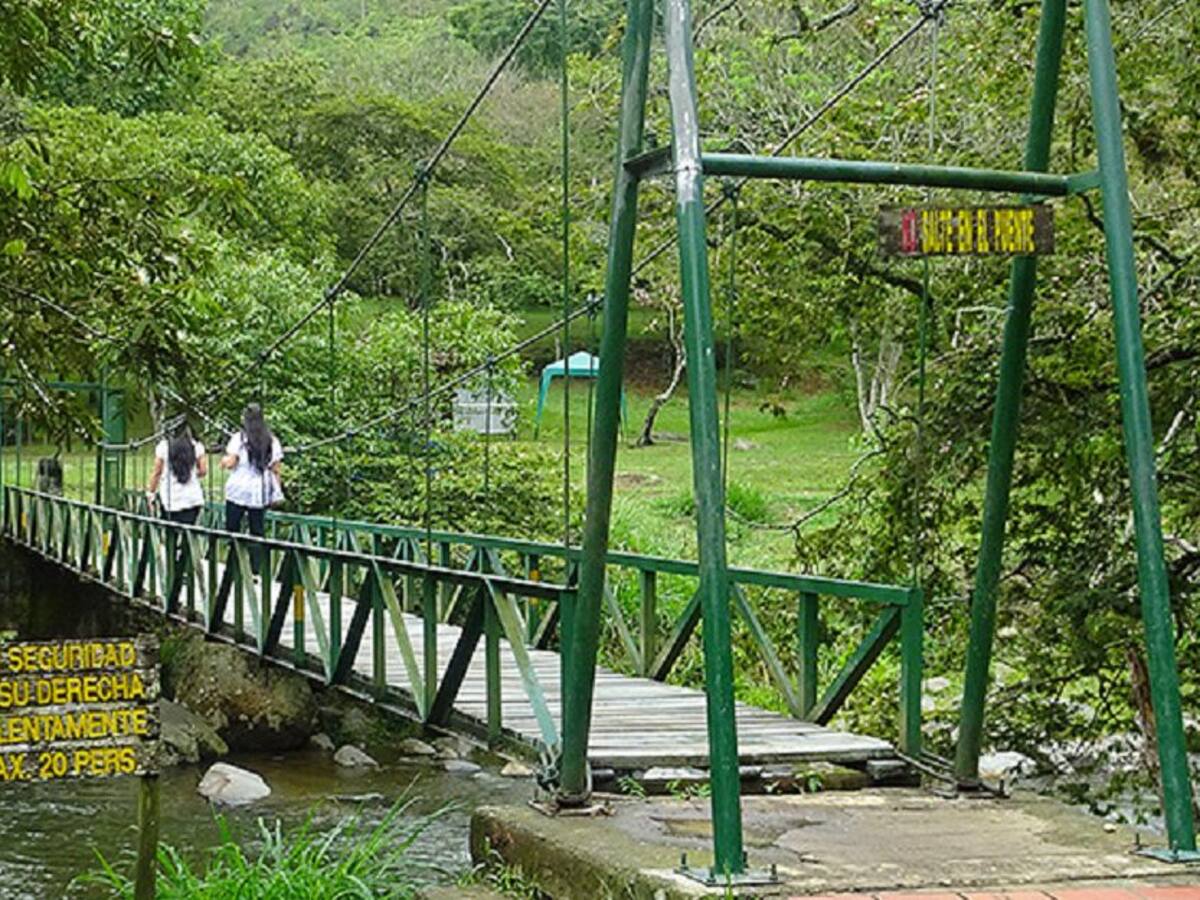 Proteger el medio ambiente de Cali, la gran apuesta del Plan de Desarrollo