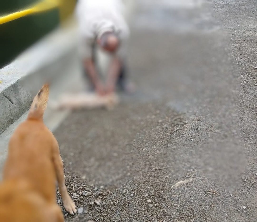 Presunto responsable de quitarle la vida a un perro en zona rural en la capital de Caldas. Foto: Instagram @rescatesdelmar