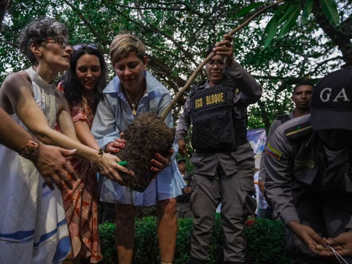 Rafael Vergara Navarro fue homenajeado en el Parque Espíritu del Manglar