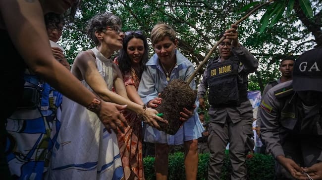 Sus familiares, amigos más cercanos y la primera dama Verónica Alcocer, acompañaron la despedida del ambientalista cartagenero