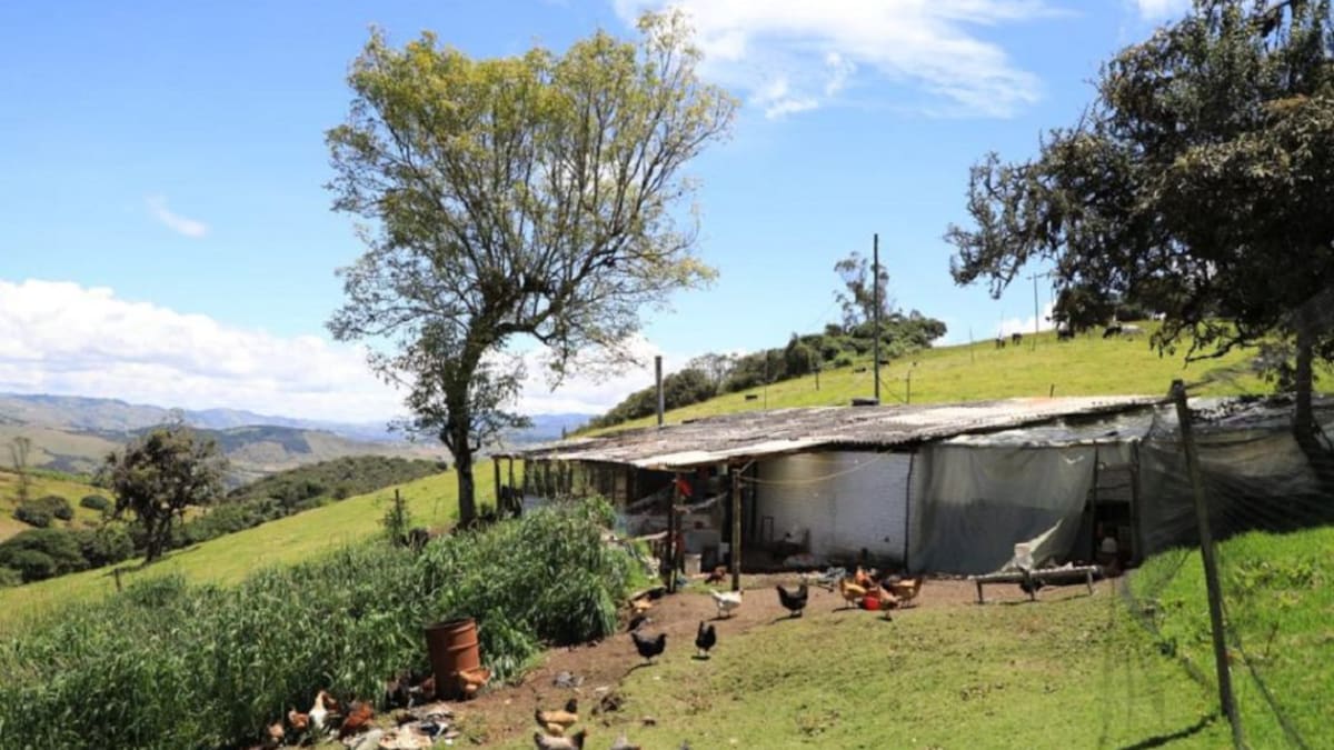 Seis de cada diez campesinos no tienen vivienda digna en Colombia