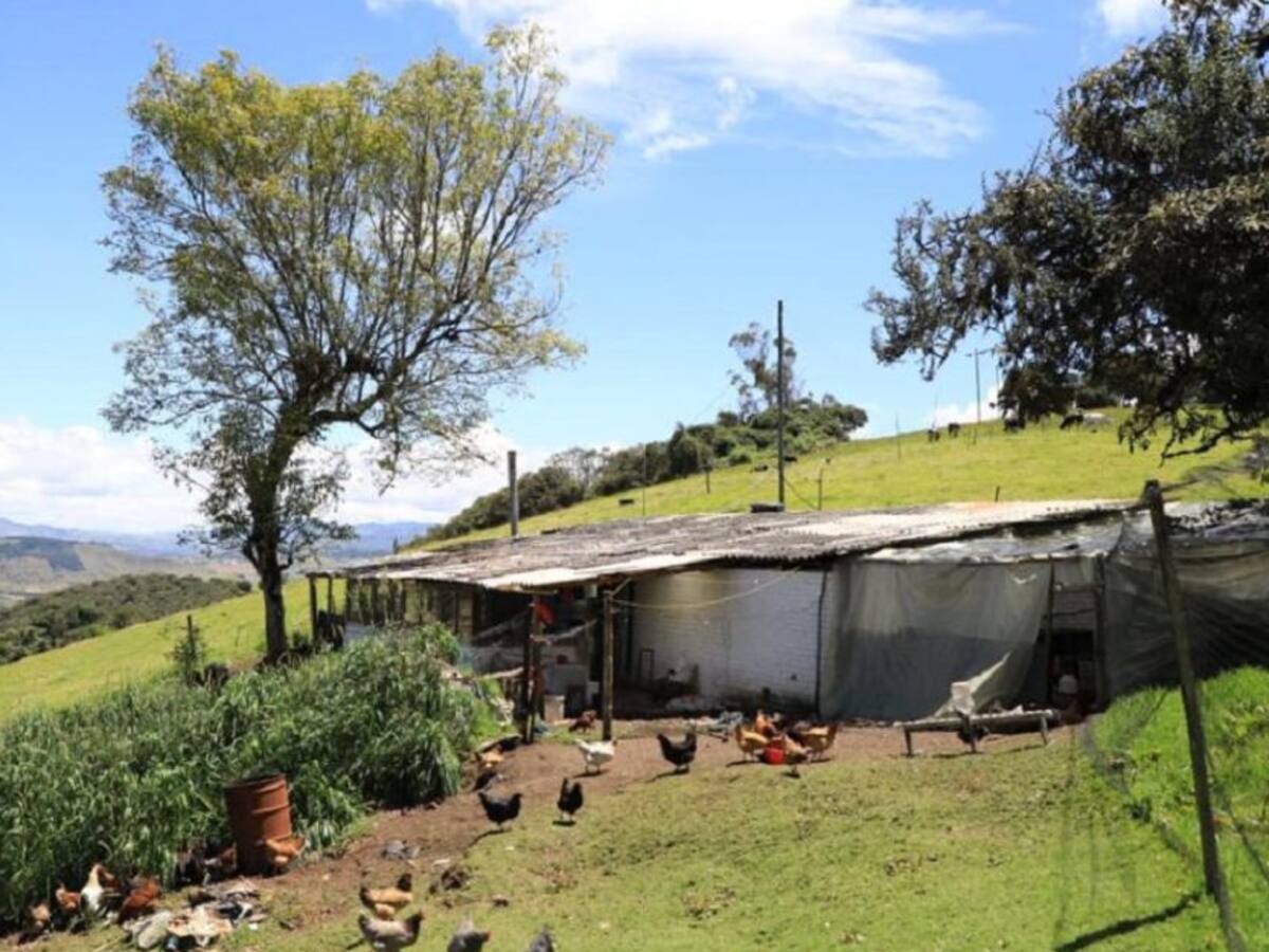 Seis de cada diez campesinos no tienen vivienda digna en Colombia