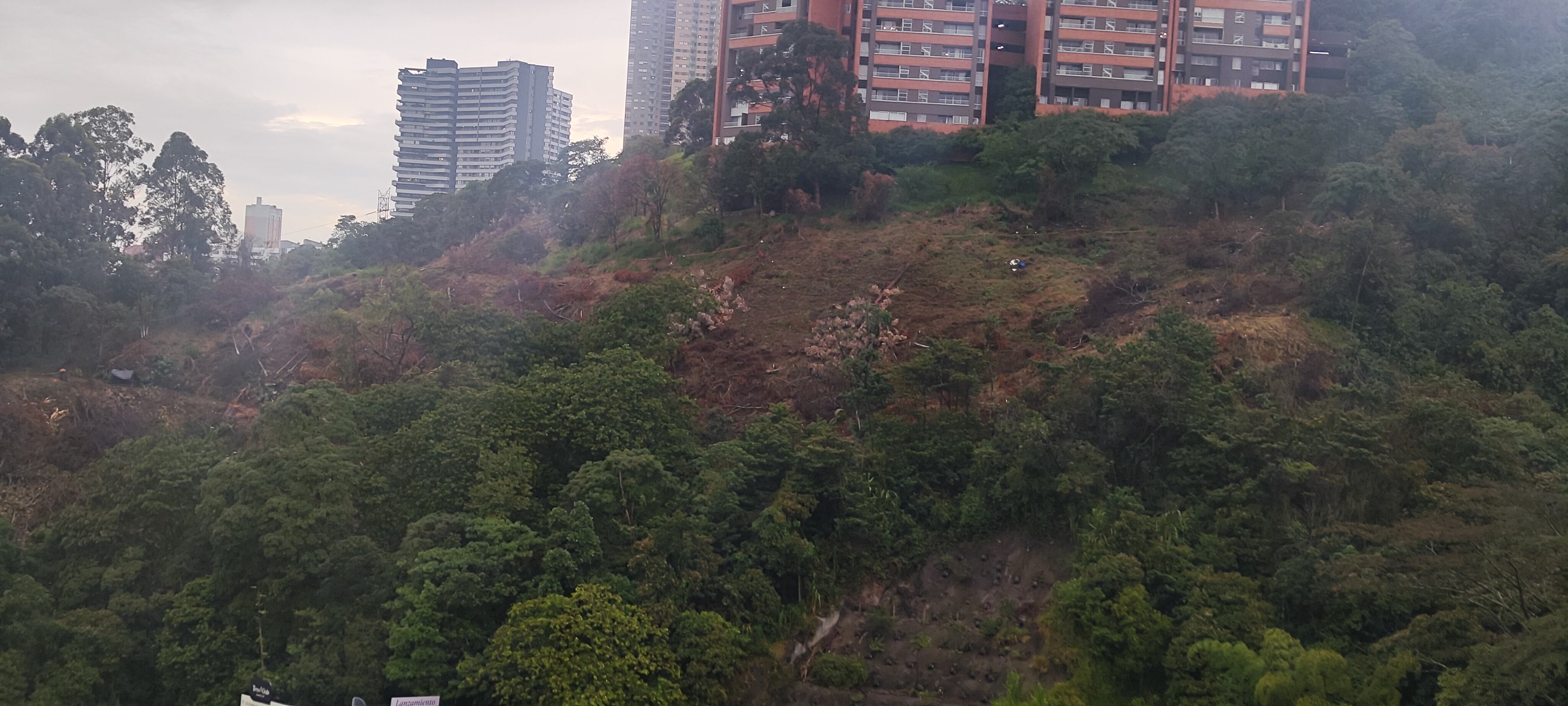 Tala de árboles para proyecto inmoviliario en Las Palmas - foto Caracol Radio