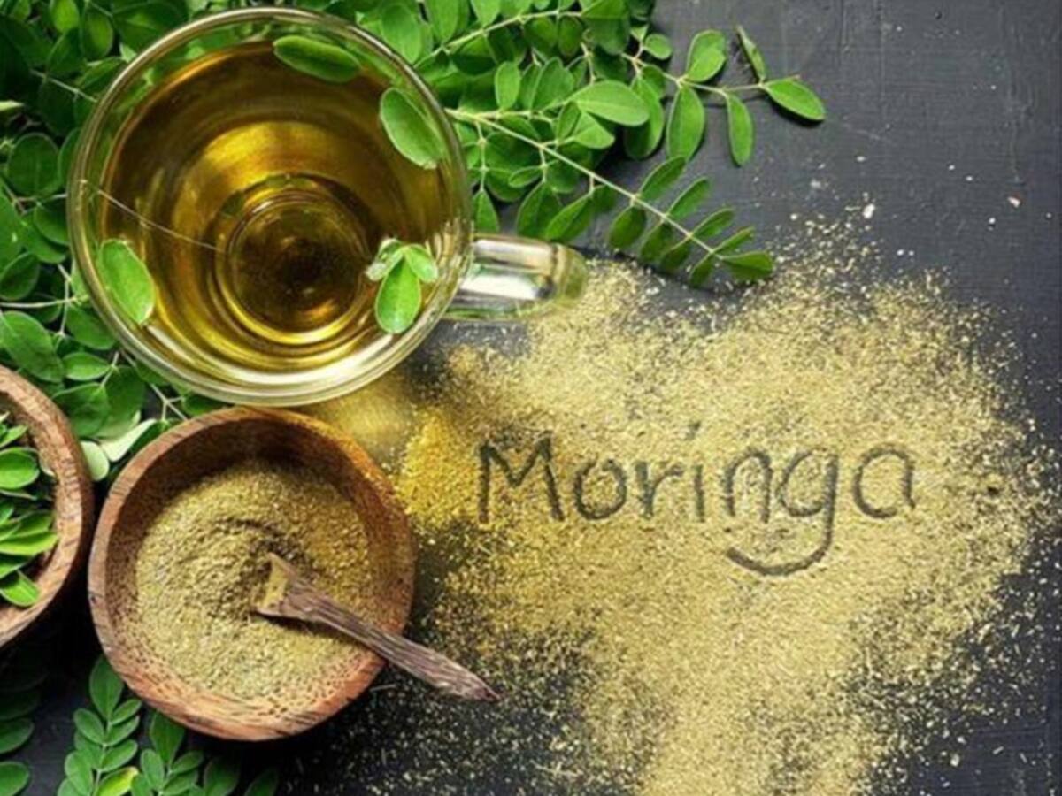 El uso de moringa combate el coronavirus en cárceles del Meta