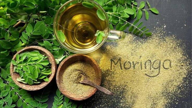 El uso de moringa combate el coronavirus en cárceles del Meta