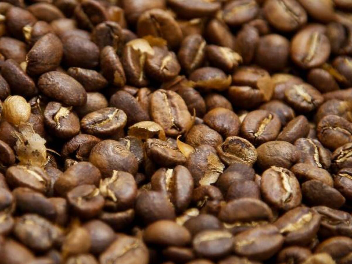 Biocombustibles a base de café la apuesta de la industria colombiana