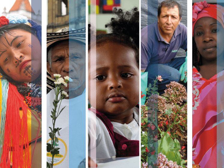 Imagen: Observatorio de desarrollo económico