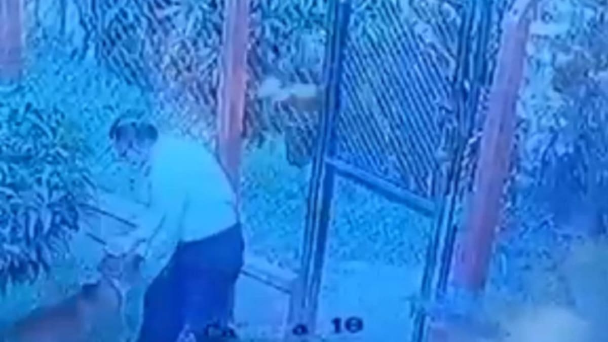 Perro fue atacado con arma blanca en Armenia