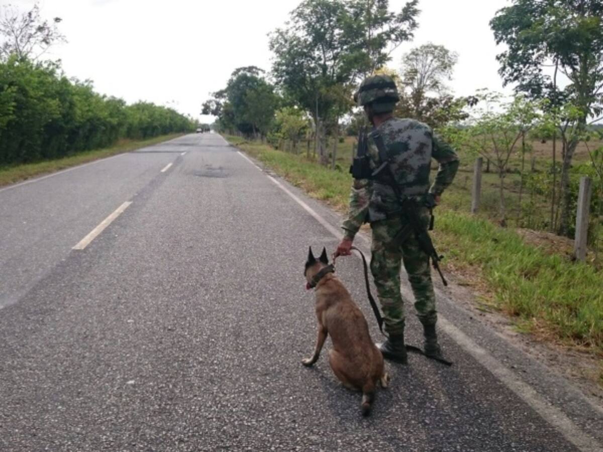 Arauca, el departamento más afectado en el primer día de paro del Eln