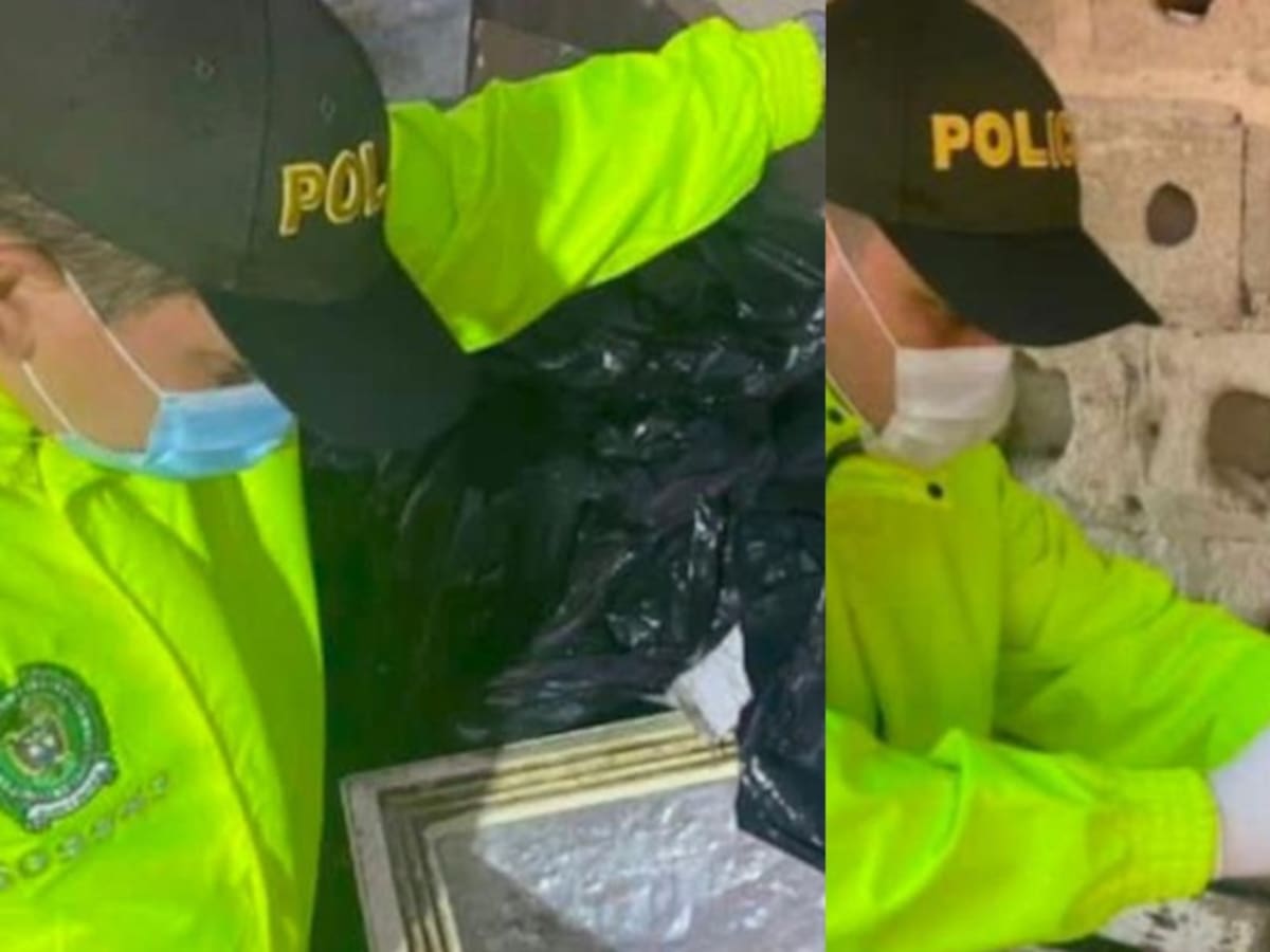 Vendían carne de caballos y burros enfermos para consumo humano