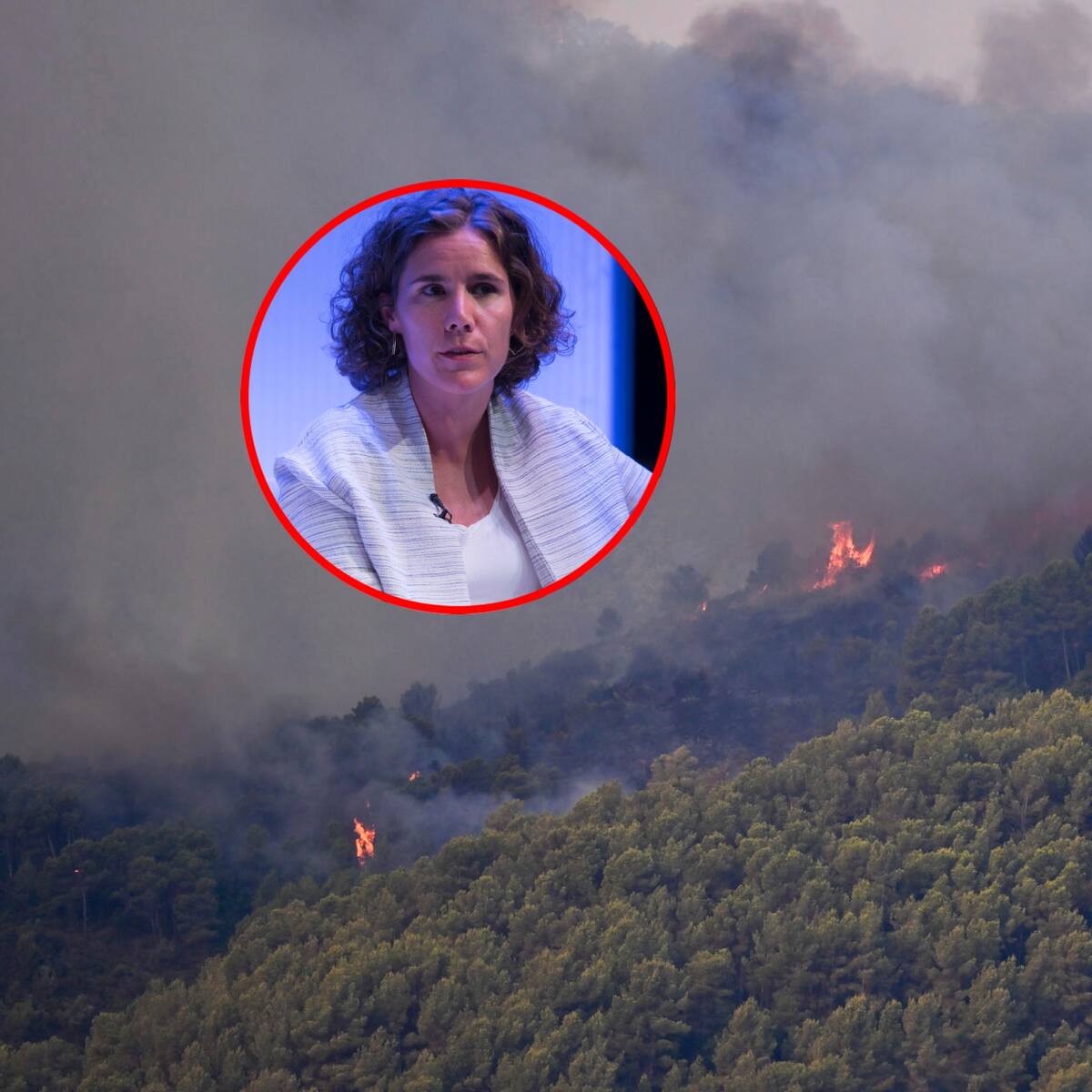 Incendios en España y Francia, los más graves de las últimas décadas: directora adjunta de la FICR