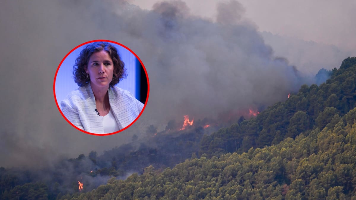 María Alcázar Castilla, directora regional adjunta de la FICR para Europa, habla sobre los incendios forestales en España y Francia