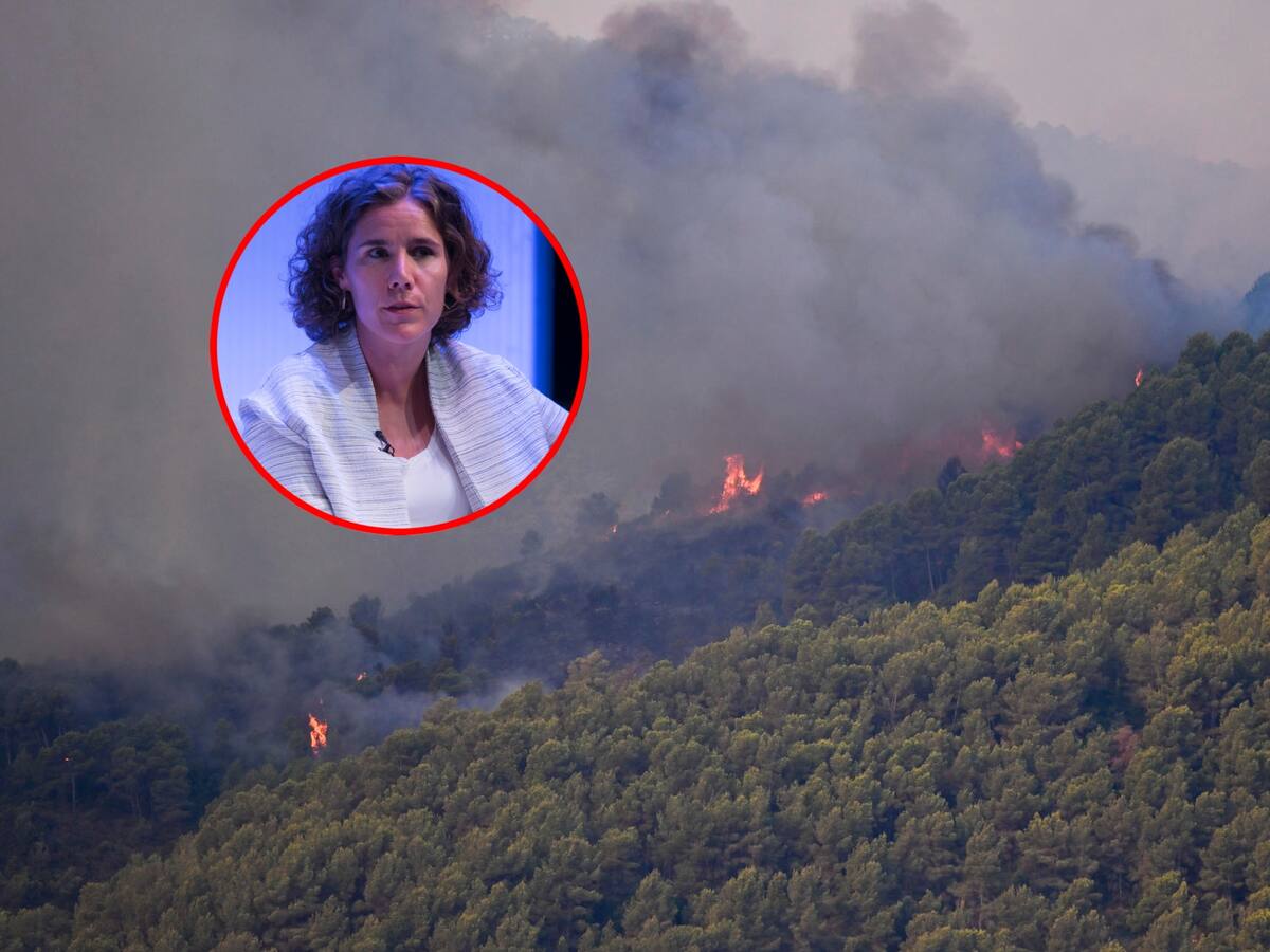Incendios en España y Francia, los más graves de las últimas décadas: directora adjunta de la FICR