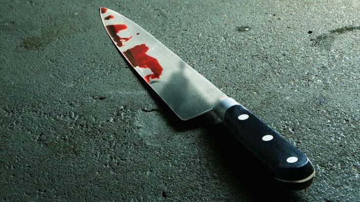 Directora Seccional Magdalena Medio, Fabiola Wilches.