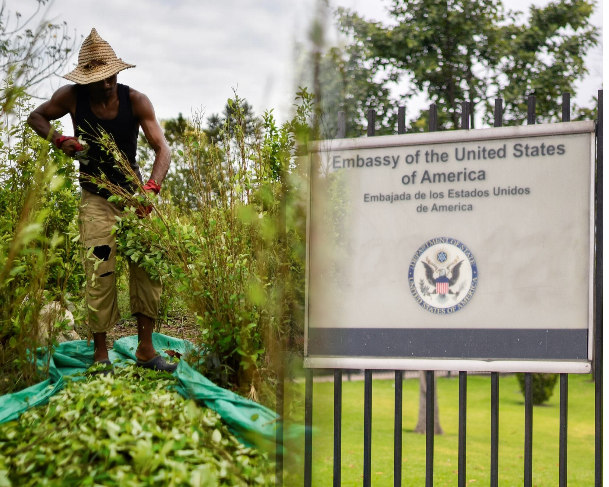 El encargado de negocios de Washington en Colombia explicó qué alcances tiene la decisión de descertificar a Colombia en la lucha contra las drogas.
(Foto:   Caracol Radio / Getty )