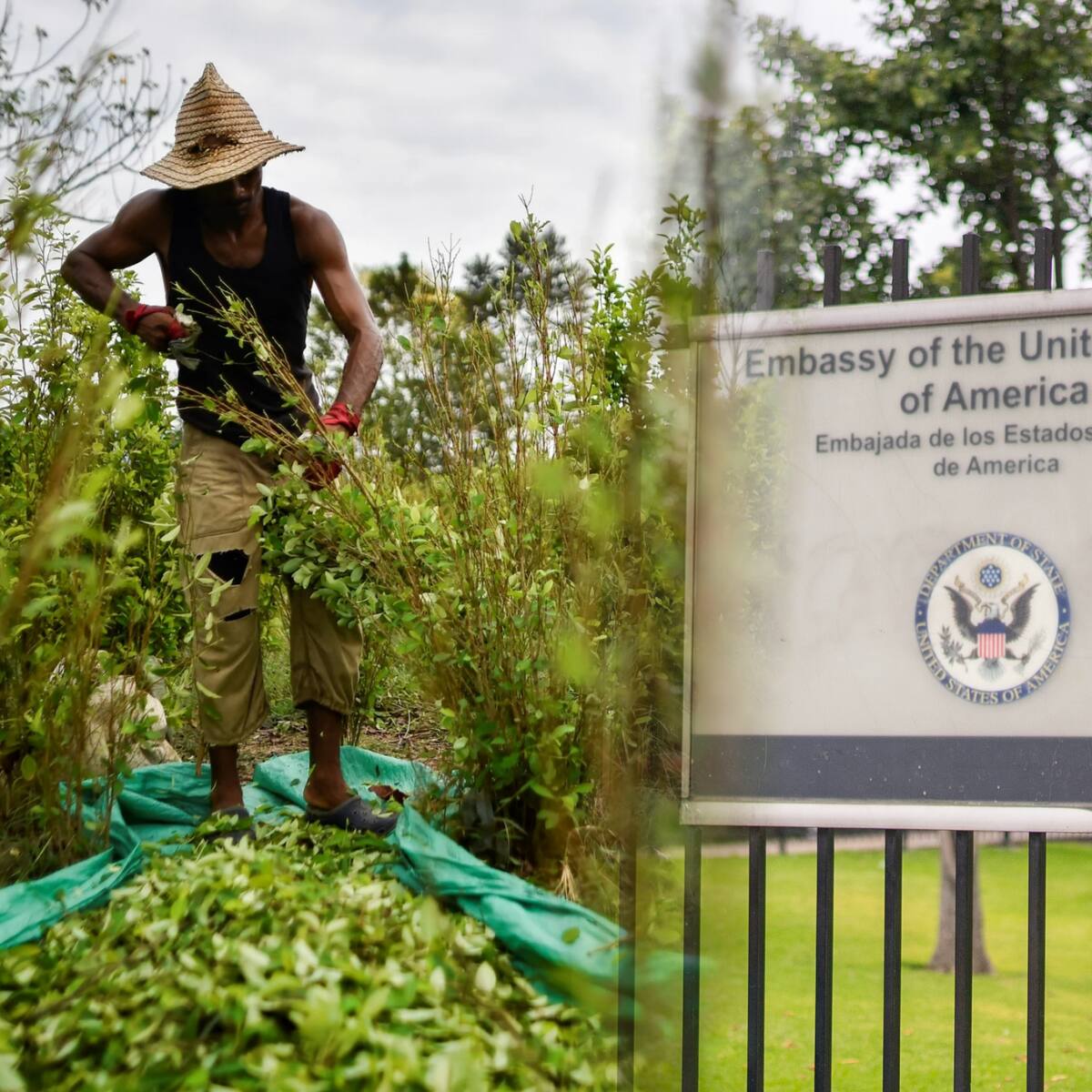 ¿Descertificación a Colombia perjudica servicios de la Embajada de Estados Unidos en Bogotá?