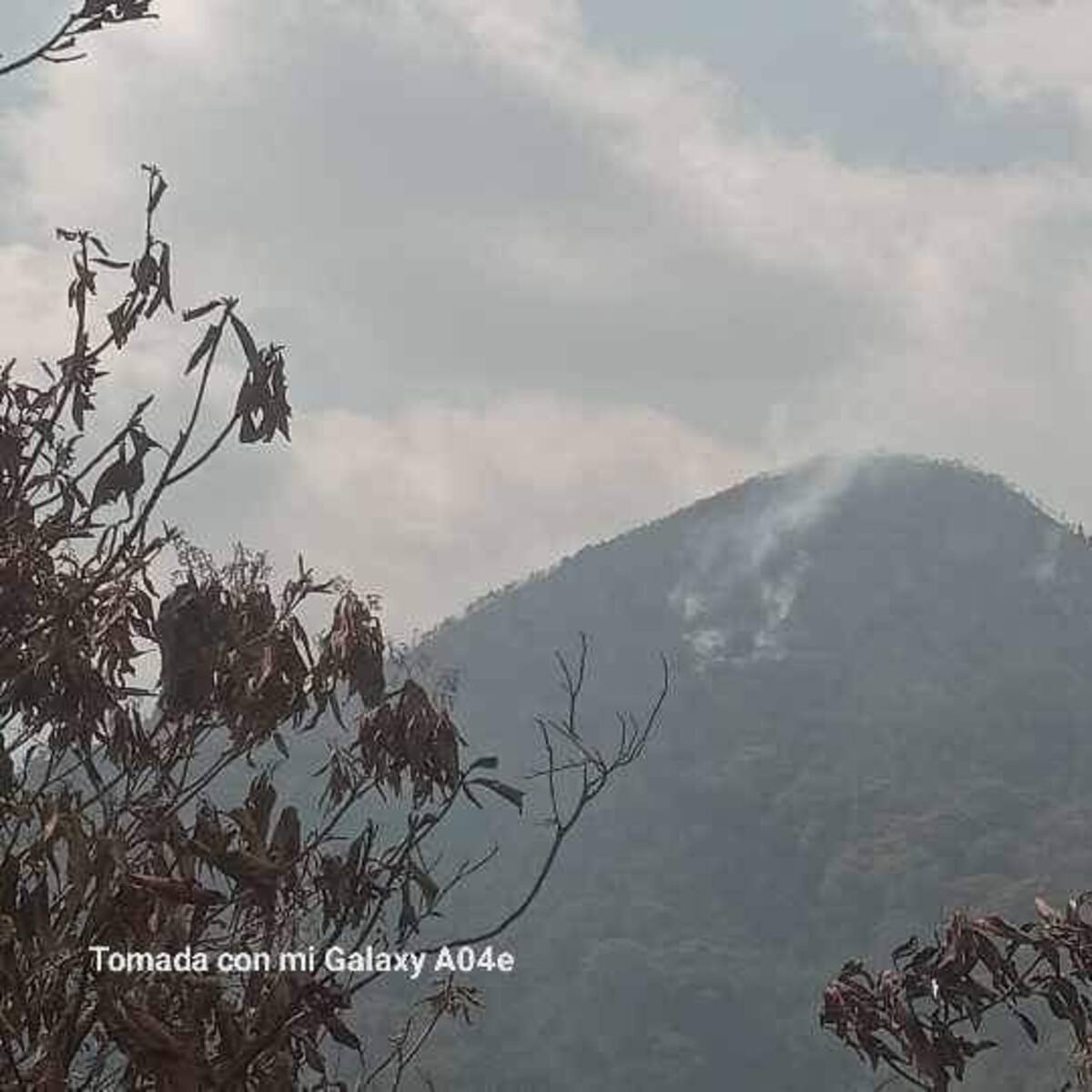 Se reactivan focos de incendio en la Sierra Nevada: indígenas lanzan SOS al Gobierno