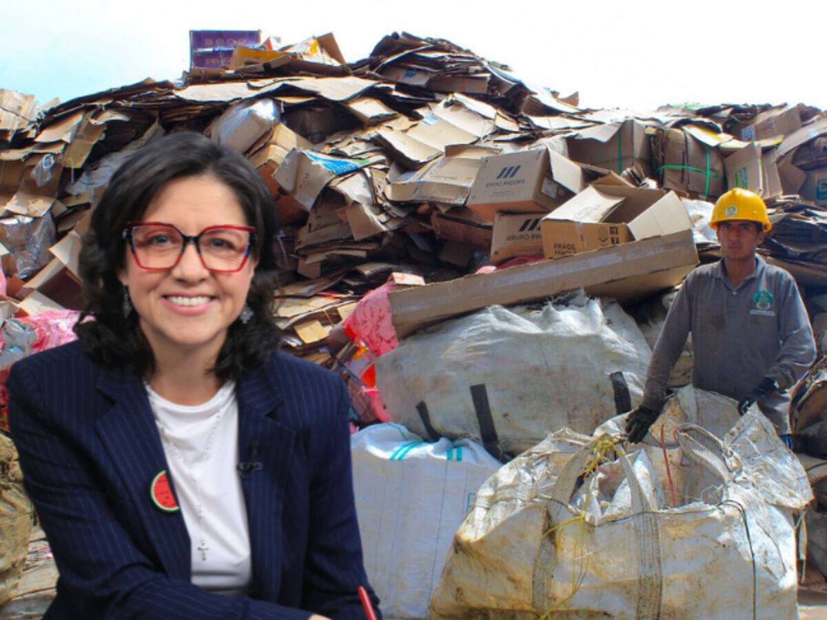 Marco tarifario de aseo: ¿habrá crisis de basura por menor pago a recicladores? Responde MinVivienda
