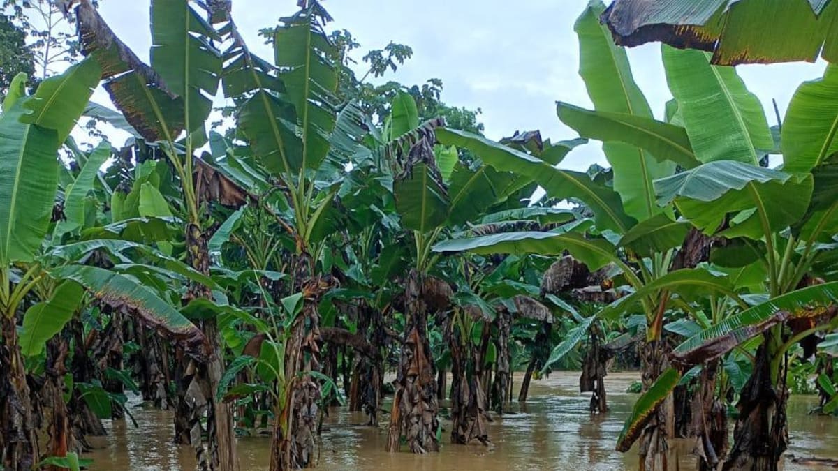 La gobernación de Antioquia comenzó a enviar ayuda humanitaria a Urabá